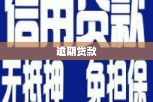 万丹逾期贷款