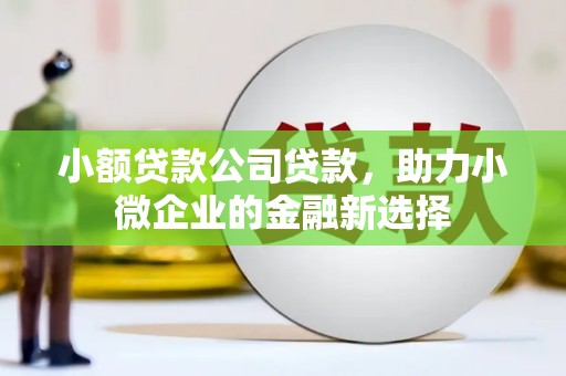 万丹小额贷款公司贷款，助力小微企业的金融新选择