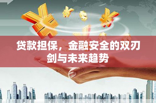 万丹贷款担保，金融安全的双刃剑与未来趋势