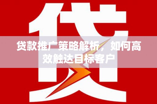 万丹贷款推广策略解析，如何高效触达目标客户