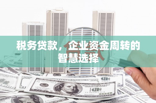万丹税务贷款，企业资金周转的智慧选择