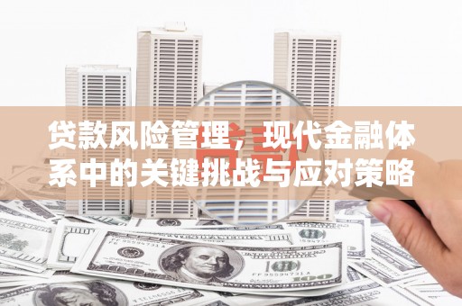 万丹贷款风险管理，现代金融体系中的关键挑战与应对策略
