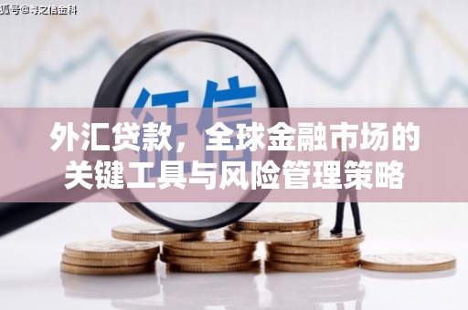 万丹外汇贷款，全球金融市场的关键工具与风险管理策略