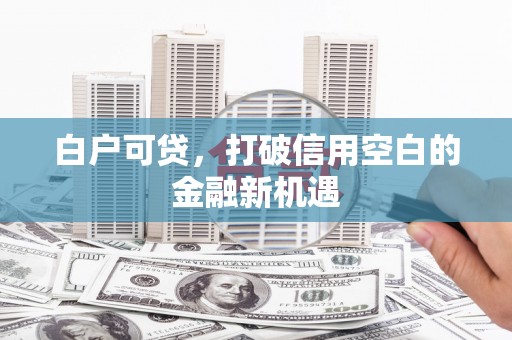 万丹白户可贷，打破信用空白的金融新机遇