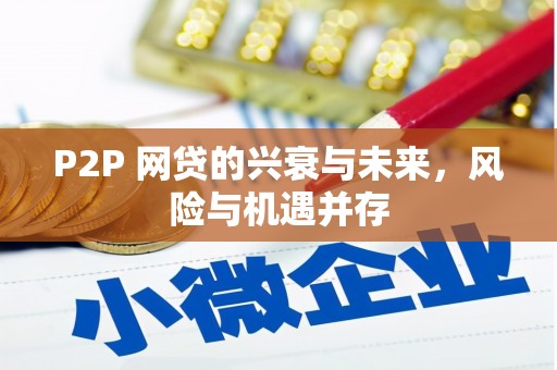 万丹P2P 网贷的兴衰与未来，风险与机遇并存