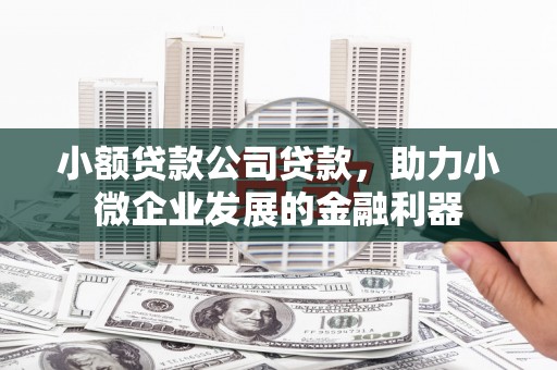 万丹小额贷款公司贷款，助力小微企业发展的金融利器
