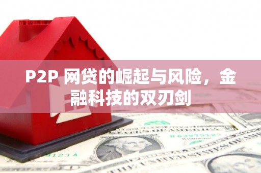 万丹P2P 网贷的崛起与风险，金融科技的双刃剑