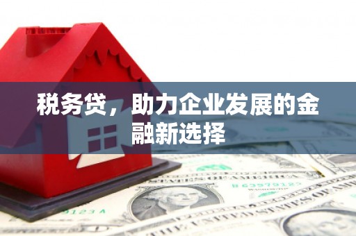 万丹税务贷，助力企业发展的金融新选择