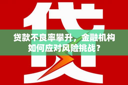 万丹贷款不良率攀升，金融机构如何应对风险挑战？