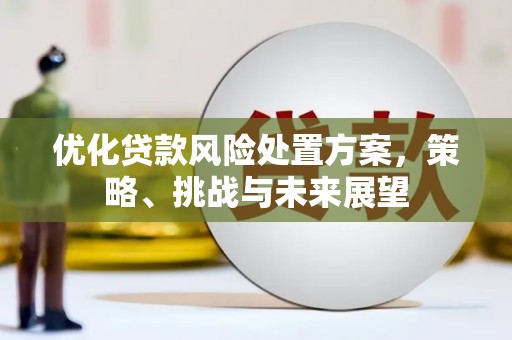 万丹优化贷款风险处置方案，策略、挑战与未来展望