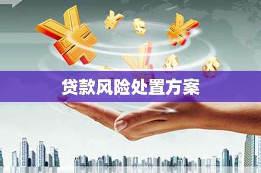 万丹贷款风险处置方案