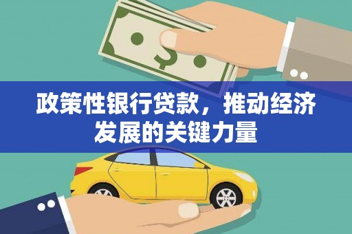 万丹政策性银行贷款，推动经济发展的关键力量