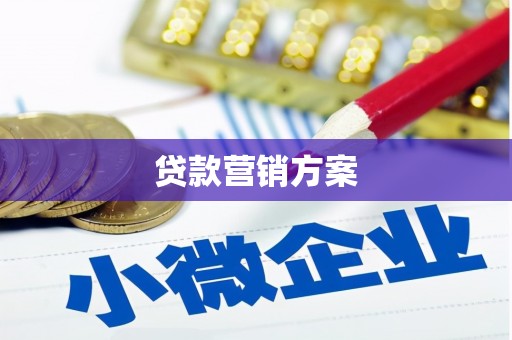 万丹贷款营销方案
