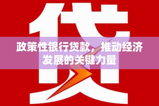 万丹政策性银行贷款，推动经济发展的关键力量