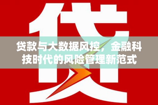 万丹贷款与大数据风控，金融科技时代的风险管理新范式