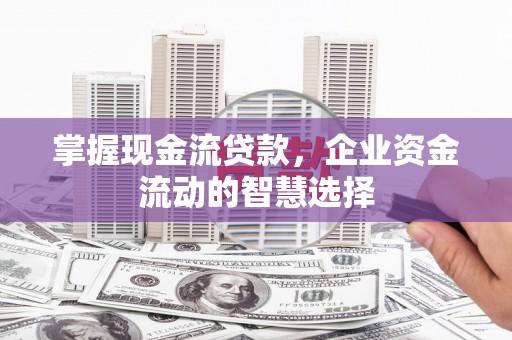 万丹掌握现金流贷款，企业资金流动的智慧选择