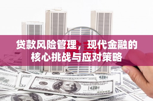 万丹贷款风险管理，现代金融的核心挑战与应对策略