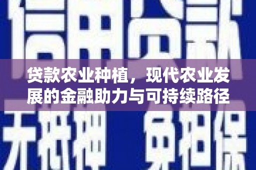 万丹贷款农业种植，现代农业发展的金融助力与可持续路径