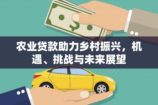 万丹农业贷款助力乡村振兴，机遇、挑战与未来展望
