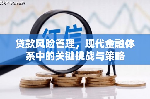 万丹贷款风险管理，现代金融体系中的关键挑战与策略