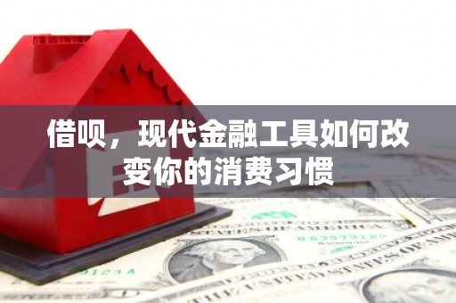 万丹借呗，现代金融工具如何改变你的消费习惯
