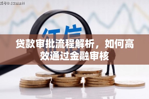 万丹贷款审批流程解析，如何高效通过金融审核