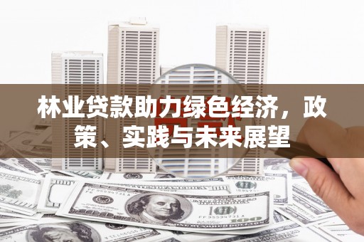 万丹林业贷款助力绿色经济，政策、实践与未来展望