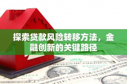 万丹探索贷款风险转移方法，金融创新的关键路径