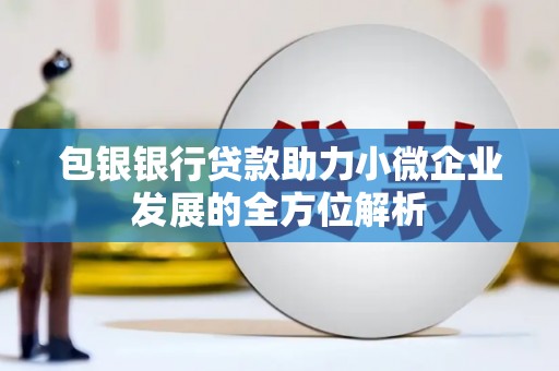 万丹包银银行贷款助力小微企业发展的全方位解析