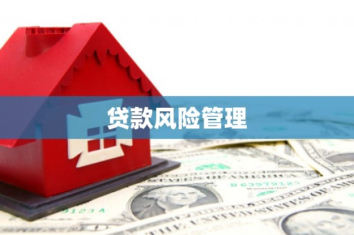 万丹贷款风险管理