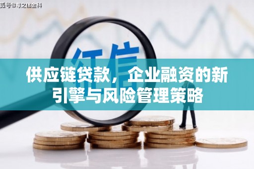 万丹供应链贷款，企业融资的新引擎与风险管理策略