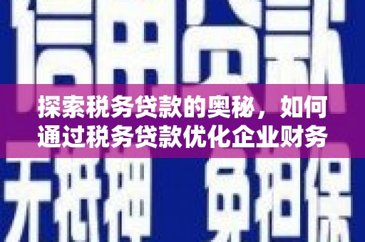 万丹探索税务贷款的奥秘，如何通过税务贷款优化企业财务