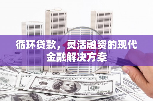 万丹循环贷款，灵活融资的现代金融解决方案