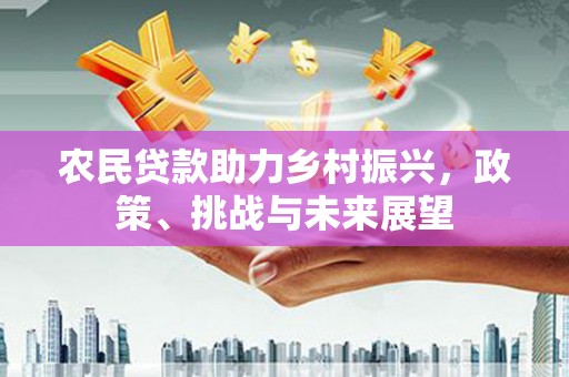 万丹农民贷款助力乡村振兴，政策、挑战与未来展望