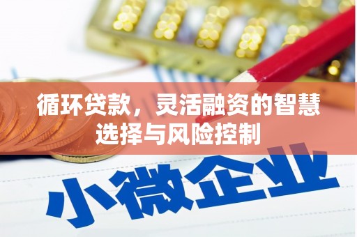 万丹循环贷款，灵活融资的智慧选择与风险控制