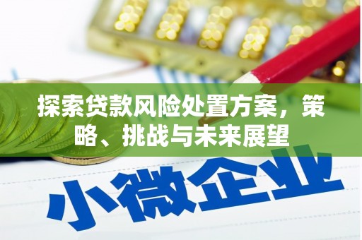 万丹探索贷款风险处置方案，策略、挑战与未来展望