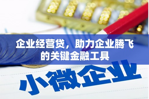 万丹企业经营贷，助力企业腾飞的关键金融工具