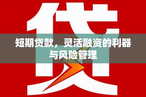 万丹短期贷款，灵活融资的利器与风险管理