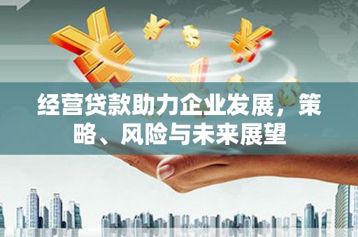 万丹经营贷款助力企业发展，策略、风险与未来展望