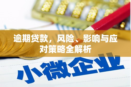 万丹逾期贷款，风险、影响与应对策略全解析