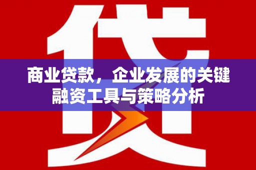 万丹商业贷款，企业发展的关键融资工具与策略分析