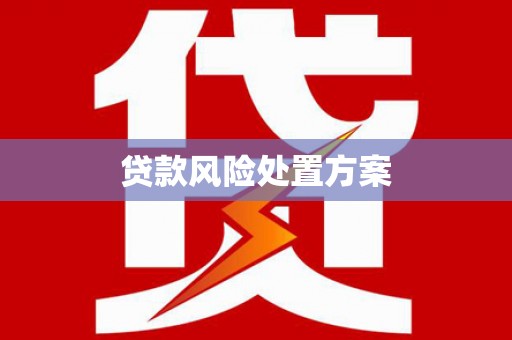 万丹贷款风险处置方案