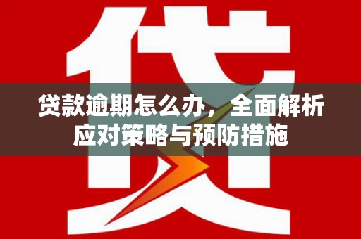 万丹贷款逾期怎么办，全面解析应对策略与预防措施