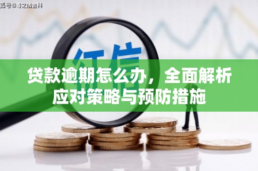 万丹贷款逾期怎么办，全面解析应对策略与预防措施
