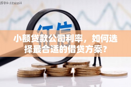 万丹小额贷款公司利率，如何选择最合适的借贷方案？