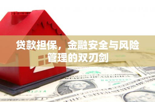 万丹贷款担保，金融安全与风险管理的双刃剑