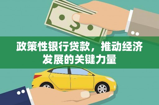 万丹政策性银行贷款，推动经济发展的关键力量