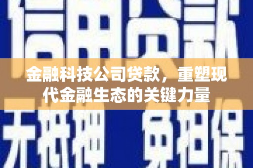 万丹金融科技公司贷款，重塑现代金融生态的关键力量