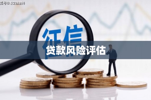 万丹贷款风险评估