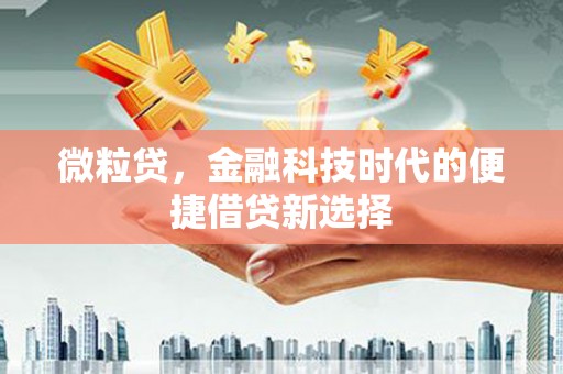 万丹微粒贷，金融科技时代的便捷借贷新选择
